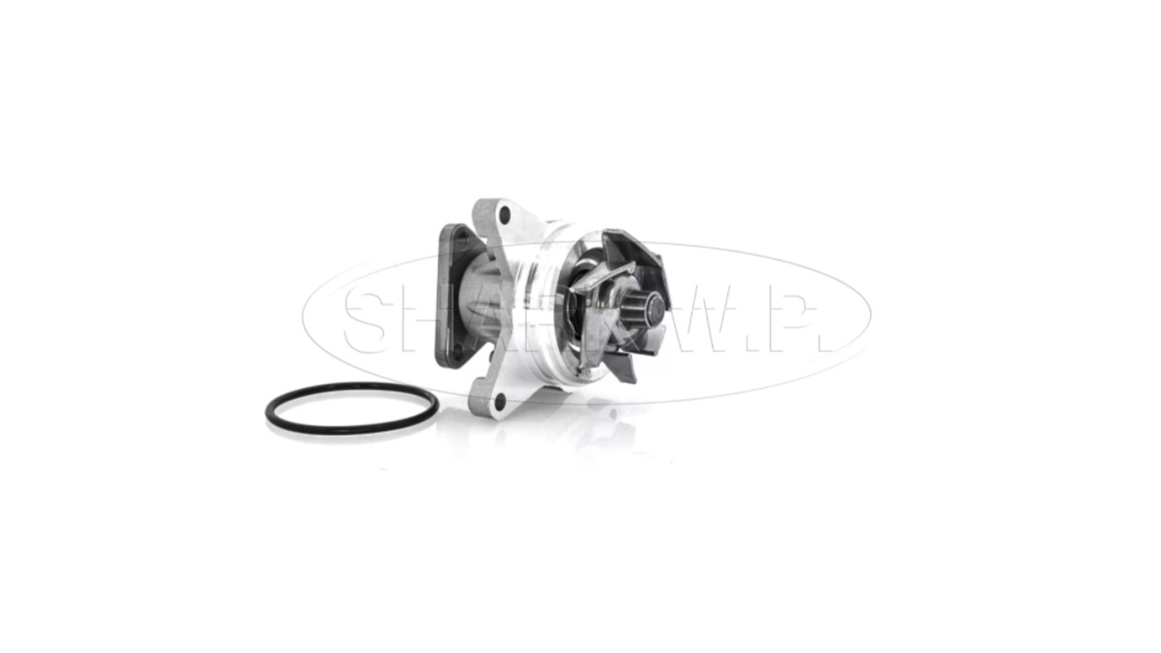 BOMBA DE AGUA FORD ECOSPORT 03-10 RANGER, ESCAPE 2.3 06. | RODATECH | SISTEMA DE ENFRIAMIENTO | SISTEMA DE ENFRIAMIENTO | BOMBA AGUA